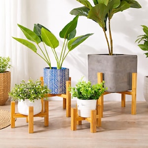 May include: Several potted plants on bamboo plant stands. The plants are in various pots, including a blue patterned pot, a gray square pot, and white pots. The stands are made of light-colored bamboo.
