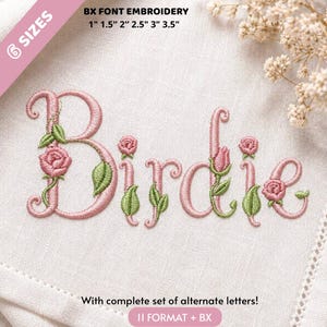 Pode incluir: Um design de bordado com a palavra Birdie em letra cursiva rosa, decorado com pequenas rosas rosas e folhas verdes. O texto inclui BX FONT EMBROIDERY, 6 SIZES, 1, 1.5, 2, 2.5, 3, 3.5 polegadas e 11 FORMAT + BX.