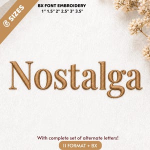 Pode incluir: Palavra bordada "Nostalga" em fonte serifada, em cor castanha quente. A imagem inclui texto que indica seis opções de tamanho de 2,5 cm a 8,9 cm para o bordado. O texto adicional diz "With complete set of alternate letters!" e "II FORMAT + BX".