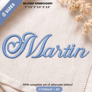 Könnte beinhalten: Blaue Stickerei des Namens Martin in einer Schreibschrift auf beigem Stoff. Der Text enthält 6 SIZES, BX FONT EMBROIDERY, 1" 1.5" 2" 2.5" 3" 3.5" sowie With complete set of alternate letters! 11 FORMAT + BX.