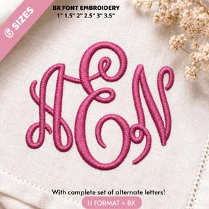 Puede incluir: Un monograma bordado en color magenta con las letras A, E y N en estilo cursivo sobre un fondo de tela blanca. El texto BX FONT EMBROIDERY 1" 1.5" 2" 2.5" 3" 3.5" y With complete set of alternate letters! 11 FORMAT + BX es visible.
