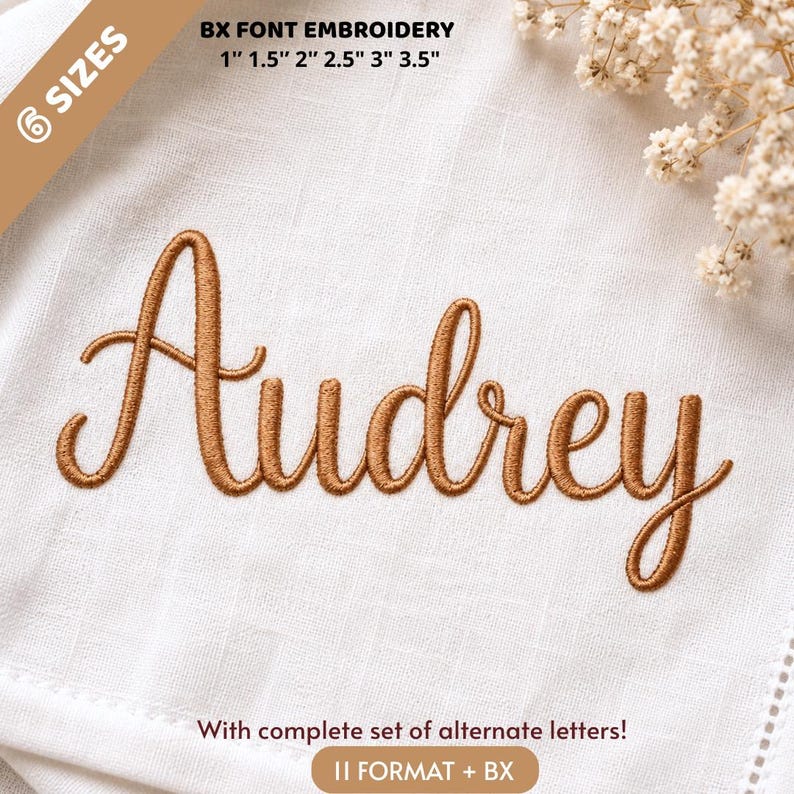 May include: A white fabric background features the name Audrey embroidered in a brown cursive font. Text includes 6 SIZES, BX FONT EMBROIDERY 1" 1.5" 2" 2.5" 3" 3.5", and With complete set of alternate letters! 11 FORMAT + BX. Small white flowers are visible.