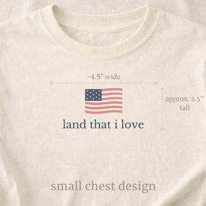Cute American Flag Shirt, Land That I Love Tee, Subtle Patriotic Shirt, Comfort Colors Tee, Vintage USA Shirt, Casual Summer Outfit image 8