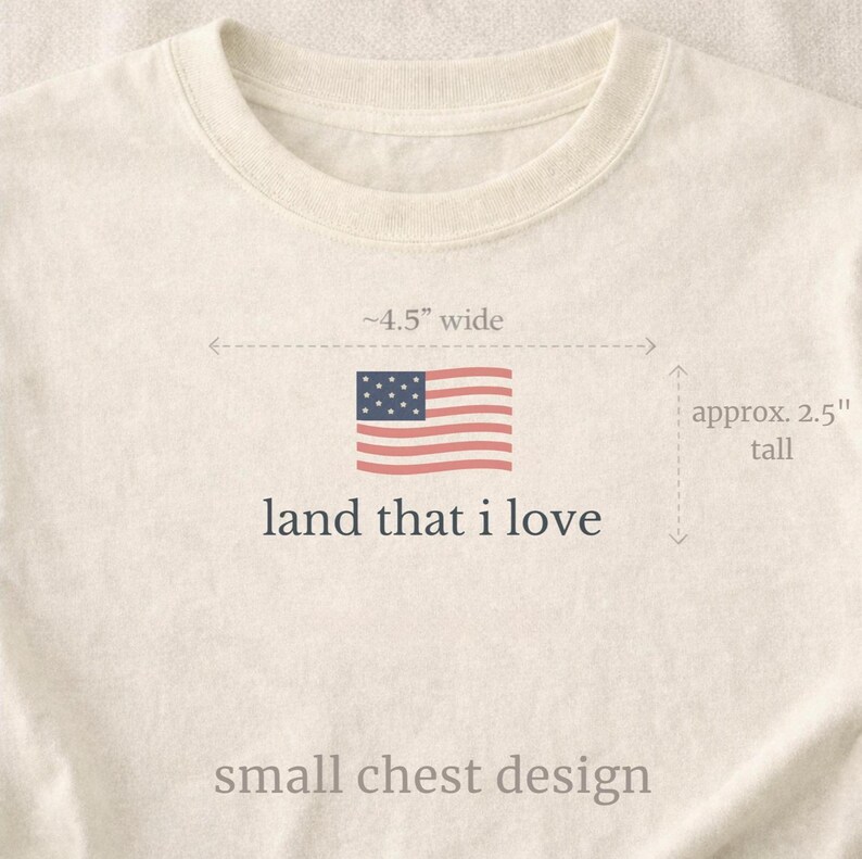 Cute American Flag Shirt, Land That I Love Tee, Subtle Patriotic Shirt, Comfort Colors Tee, Vintage USA Shirt, Casual Summer Outfit image 8