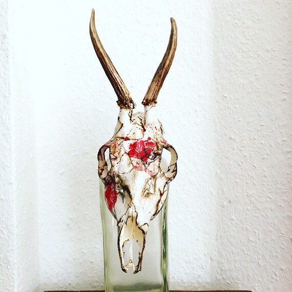Decorated Real Young Deer Skull European Forest Schwarzwald Etsy