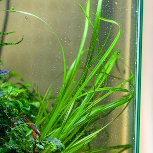 May include: A rustic wooden sign with the text "Welcome to our home" in white lettering. The sign features a distressed finish and a simple, inviting design, perfect for front door decor.