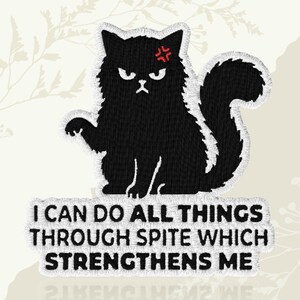 I Can Do All Things Through Spite Black Cat Patch Funny Sarcastic Humor Embroidered Patch Iron On Keychains Hook & Loop For Jacket Hat Jeans
