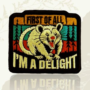 May include: A rectangular embroidered patch featuring a cream-colored opossum with an open mouth. The background shows a sunset landscape with orange, teal, and red horizontal stripes and pine trees. The text reads FIRST OF ALL I'M A DELIGHT.