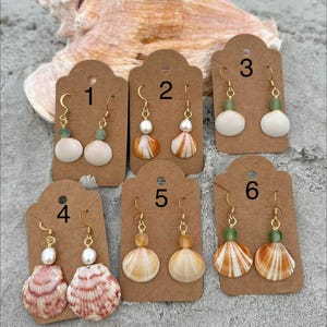 Natural Seashell Earrings