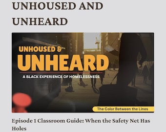 Foster Care to Homelessness Lesson Plan — Adaora Onuora — Civic Education Unit Grades 6–12 PDF