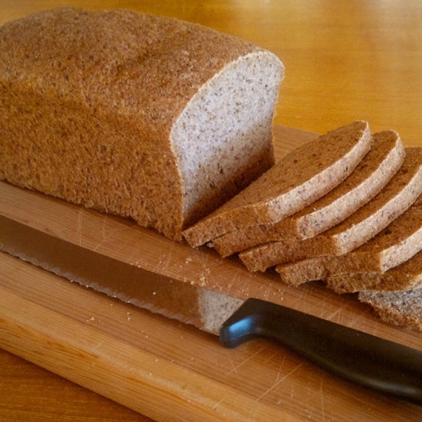 Sorghum Bread recipe (gluten free, dairy free, egg free)