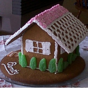 Gingerbread House recipe gluten free and gum free image 2