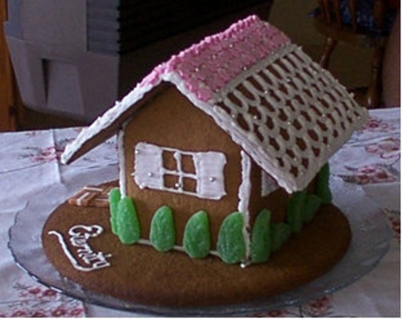 Gingerbread House recipe gluten free and gum free image 2