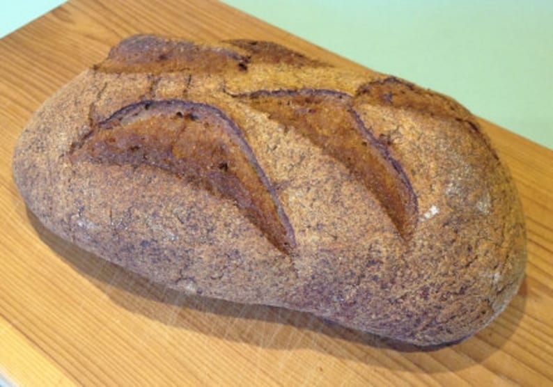 Buckwheat & Molasses Artisan Bread recipe gluten free, no dairy, no gum image 1