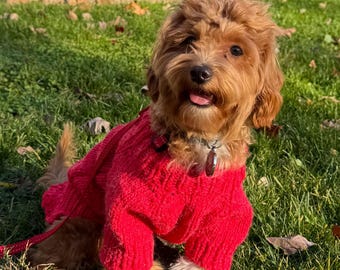 Red Dog Sweater for Small Dogs, Cozy Knit Puppy Sweater, Chihuahua & Yorkie Winter Dog Clothes