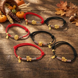 May include: Six adjustable bracelets featuring gold-toned charms and small rectangular tags. Three bracelets have red cords and three have black cords, each accented with multicoloured woven thread details near the central gold-toned animal-shaped charm.