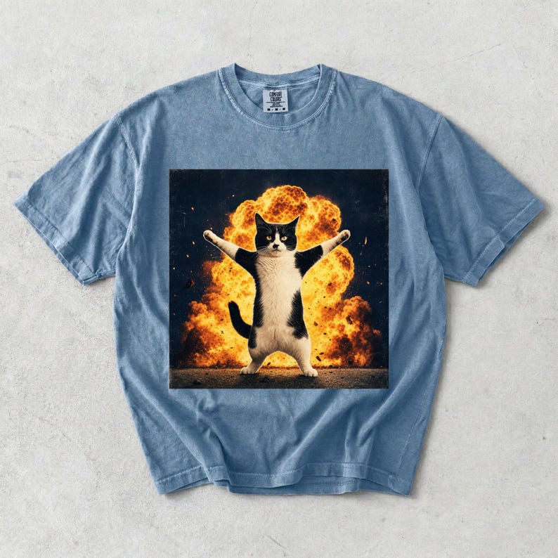 Puede incluir: Una camiseta azul de manga corta con un estampado gr&aacute;fico de un gato blanco y negro de pie con los brazos extendidos frente a una gran explosi&oacute;n de color naranja brillante. La camiseta tiene cuello redondo y una etiqueta visible en el cuello.