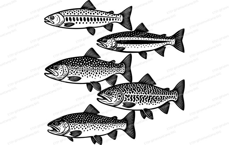20 Fish Multipack SVG Bundle | Fishing Vector Designs | Png Dxf Eps ...