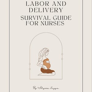 May include: A book cover with the title "LABOR AND DELIVERY SURVIVAL GUIDE FOR NURSES." The cover features a line drawing of a pregnant person in brown and beige tones, set within an arch. The author's name, "By Alyssa Zuppa," is at the bottom.
