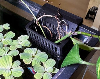Hang on back Aquarium Plant Basket