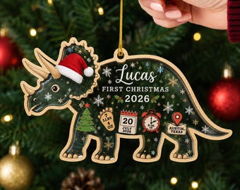 Personalized Baby First Christmas Dinosaur Ornament 2026, Custom Birth Stats Triceratops Ornament, New Baby Christmas Gift