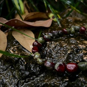 Puede incluir: Una pulsera de cuentas con cuentas rojas y verdes alternas descansa sobre una superficie oscura y texturizada. Las cuentas son redondas y parecen ser de piedra. Hierba verde y hojas marrones en el fondo.