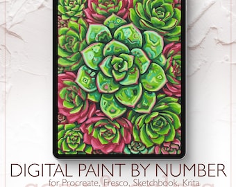 Colorful Succulents - Digital Paint by Number Kit for Procreate - Digital download - Instant