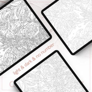 May include: Four paint-by-number canvases with floral designs. The canvases are black-edged and feature a light and dark color scheme. The text "light & dark & no number" is printed on the image.