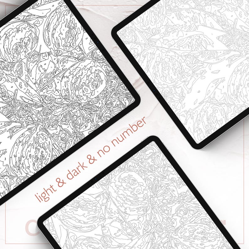 May include: Four paint-by-number canvases with floral designs. The canvases are black-edged and feature a light and dark color scheme. The text "light & dark & no number" is printed on the image.