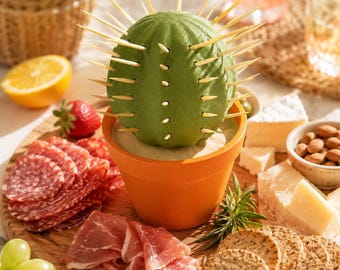 Ball Cactus Toothpick Holder | Kitchen Decor |  holds 72 toothpicks | Charcuterie board accessory