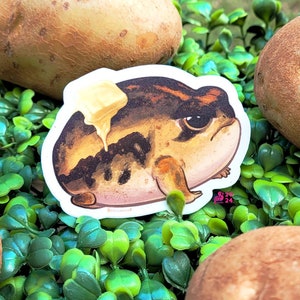 May include: A sticker of a cartoon frog with a brown and black patterned shell, sitting on a bed of green leaves. The frog has a small piece of butter on its back.