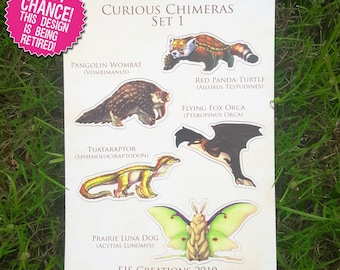 May include: A set of five illustrated stickers featuring whimsical animal chimeras. The stickers are printed on white paper with a light gray border. The stickers feature a pangolin wombat, red panda turtle, flying fox orca, tuataraptor, and prairie luna dog. The stickers are labeled with their scientific names. The set is titled "Curious Chimeras Set 1" and is labeled "EJS Creations 2019".