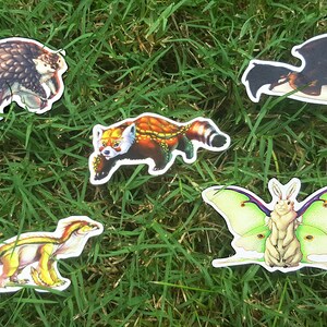 May include: Five colorful stickers featuring different animal illustrations. The stickers are on a green grassy background. The animals include a red panda, a moth, a bat, a lizard, and a pangolin.