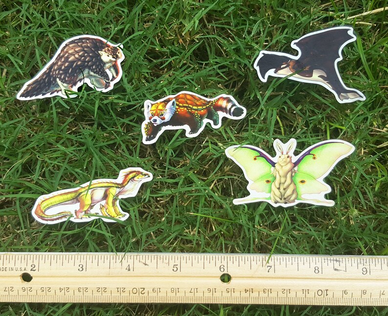May include: Five colorful stickers featuring different animals. The stickers are on a green grassy surface with a wooden ruler for scale. The animals include a red panda, a moth, a pangolin, a dinosaur, and a bat.