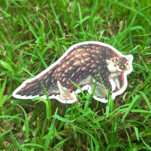 May include: A brown and white pangolin with scales, walking on its hind legs. The pangolin is on a green grassy background.