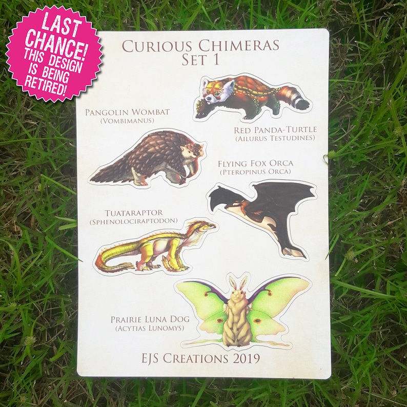 May include: A set of five illustrated stickers featuring whimsical animal chimeras. The stickers are printed on white paper with a light gray border. The stickers feature a pangolin wombat, red panda turtle, flying fox orca, tuataraptor, and prairie luna dog. The stickers are labeled with their scientific names. The set is titled "Curious Chimeras Set 1" and is labeled "EJS Creations 2019".