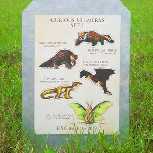 May include: A set of 5 illustrated stickers featuring whimsical animal hybrids. The stickers are titled "Curious Chimeras Set 1" and include a pangolin wombat, red panda turtle, flying fox orca, tuataraptor, and prairie luna dog.