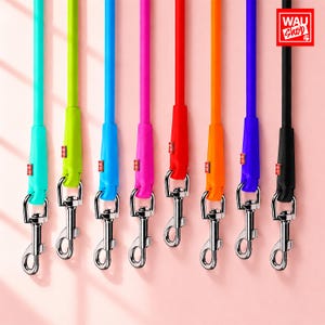 May include: Eight vertical dog leashes in turquoise, lime green, blue, pink, red, orange, purple, and black. Each leash features a matching silicone handle section, a small red tag, and a silver-toned metal swivel snap hook. The logo WAU Shop is visible.