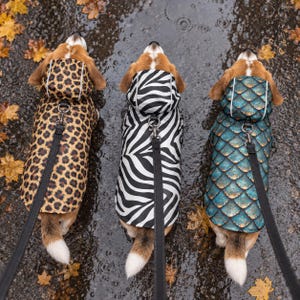 May include: Three dogs seen from above wearing hooded raincoats. The left dog wears a brown and black leopard print coat, the center dog wears a black and white zebra striped coat, and the right dog wears a teal and gold scale pattern coat.