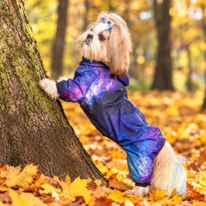 Combinaison intégrale pour chien, imperméable et coupe-vent, tissu à motif spatial