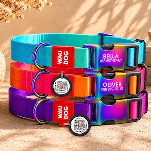 Pode incluir: Três coleiras coloridas para cães empilhadas, cada uma de uma cor diferente: turquesa, rosa e roxo. Cada coleira tem uma fivela arco-íris e uma etiqueta vermelha com o texto "WAU DOG". As coleiras têm os nomes "BELLA" e "OLIVER" com números de telefone.