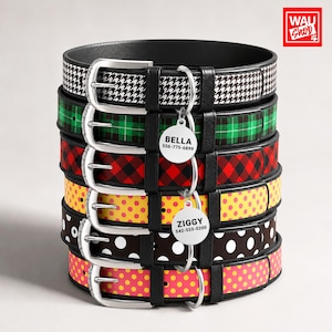 May include: A stack of six pet collars with silver metal buckles and black leather-like straps. Patterns include black and white houndstooth, green plaid, red plaid, yellow with pink dots, black with white dots, and pink with yellow dots. Two round tags read BELLA 556-775-6899 and ZIGGY 542-555-0200.