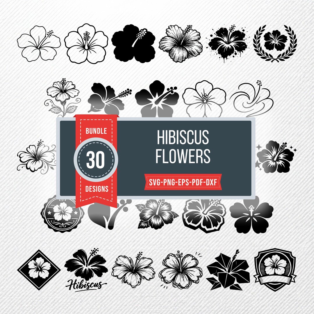 Hibiscus Flowers SVG Bundle | 30 Clipart PNG Vector | PDF Eps Dxf ...