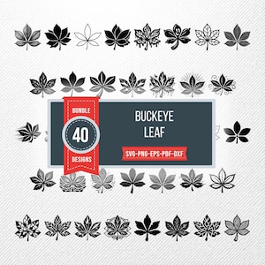 May include: A set of 40 black and white Buckeye leaf designs in diverse styles. The image features the text "Buckeye Leaf" and file format options. The designs are arranged in rows and columns on a textured background.