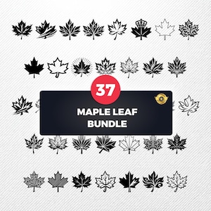 Puede incluir: Una colección de 37 diseños de hojas de arce en blanco y negro. Las hojas varían en estilo, desde contornos simples hasta patrones detallados y ornamentados. La imagen incluye una pancarta que dice "MAPLE LEAF BUNDLE".