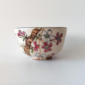 Può includere: Una piccola ciotola in ceramica bianco sporco con un motivo floreale. La ciotola presenta un ramo marrone con fiori rossi e bianchi. La ciotola ha una consistenza leggermente ruvida e una piccola base non smaltata.