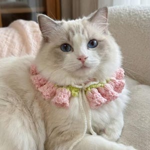 Pode incluir: Um gato branco e fofo com olhos azuis usando uma coleira de crochê rosa e verde. A coleira tem um design floral e é amarrada com um fio branco. O gato está sentado em uma superfície de cor neutra.