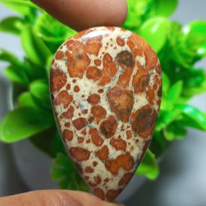 May include: A teardrop-shaped gemstone with a speckled pattern of reddish-brown spots on a cream-coloured base. The polished stone is held between fingers, with green foliage in the background. The stone's surface is smooth and reflective.