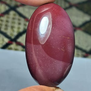 Può includere: Una gemma lucida, di forma ovale, in tonalità bordeaux intenso con finitura lucida. La pietra presenta un'evidente inclusione bianca, di forma ovale. La gemma è tenuta tra due dita.