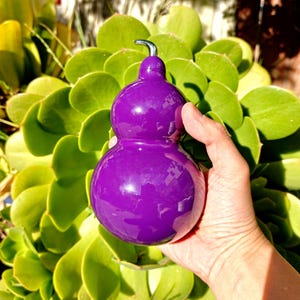 May include: A glossy, vibrant purple gourd-shaped container with a smooth, reflective surface and a small, curved silver-colored metal handle at the top. The object features a distinct two-bulb silhouette, narrowing at the neck and widening at the base.